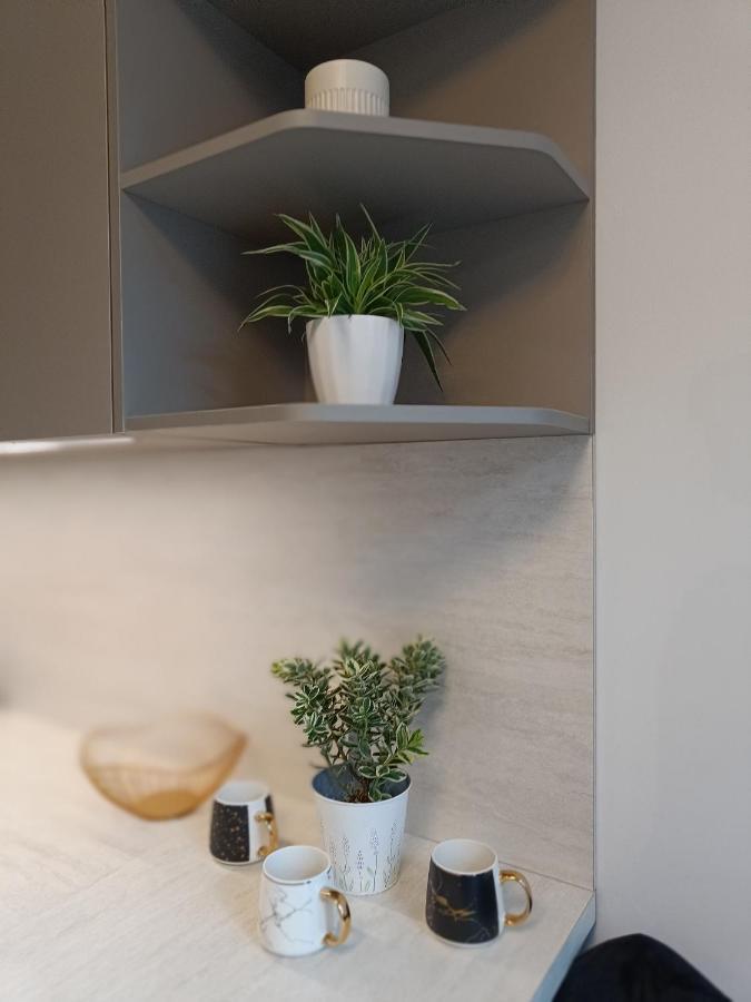 Stiilne Ja Avar Kodu Tartus, Riia 20 Apartment *